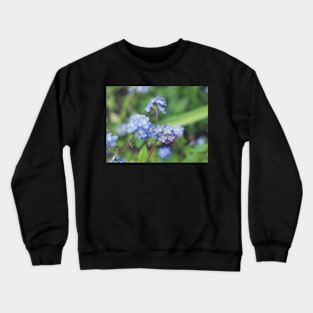 Forget-Me-Nots 2 Crewneck Sweatshirt